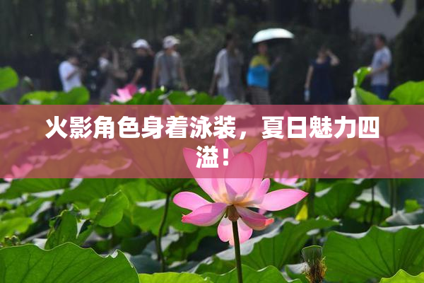 火影角色身着泳装，夏日魅力四溢！
