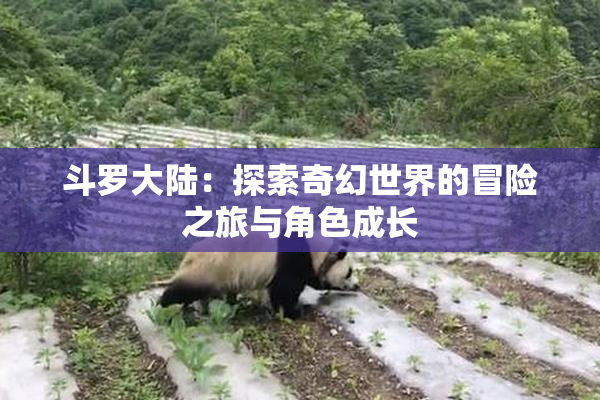 斗罗大陆：探索奇幻世界的冒险之旅与角色成长