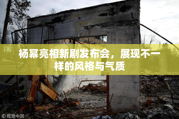 杨幂亮相新剧发布会，展现不一样的风格与气质