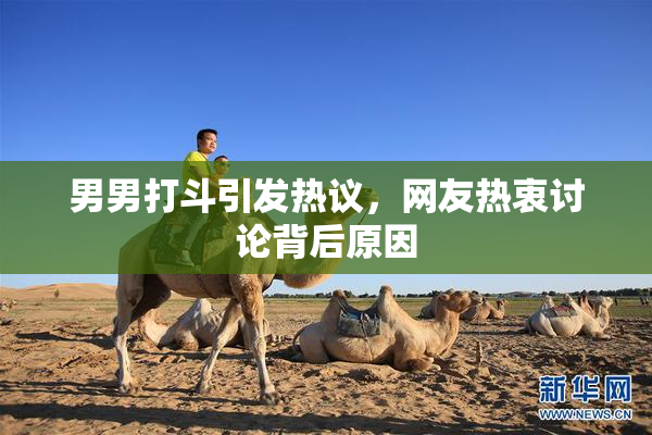 男男打斗引发热议，网友热衷讨论背后原因