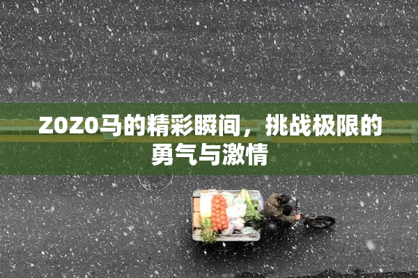 Z0Z0马的精彩瞬间，挑战极限的勇气与激情