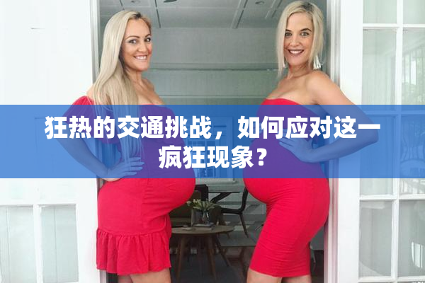狂热的交通挑战，如何应对这一疯狂现象？
