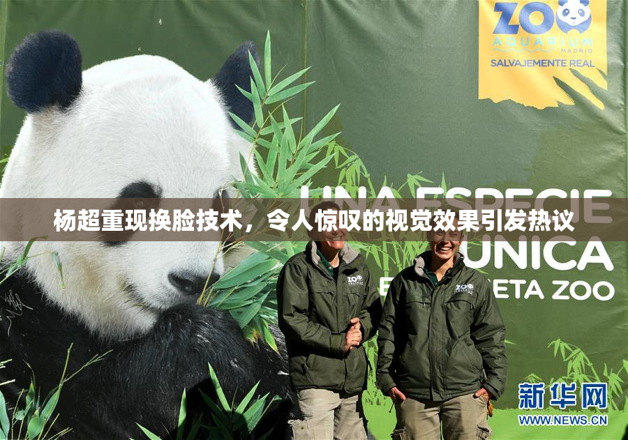 杨超重现换脸技术，令人惊叹的视觉效果引发热议