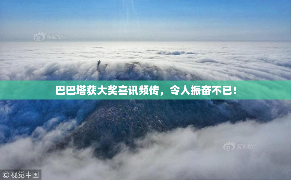 巴巴塔获大奖喜讯频传，令人振奋不已！