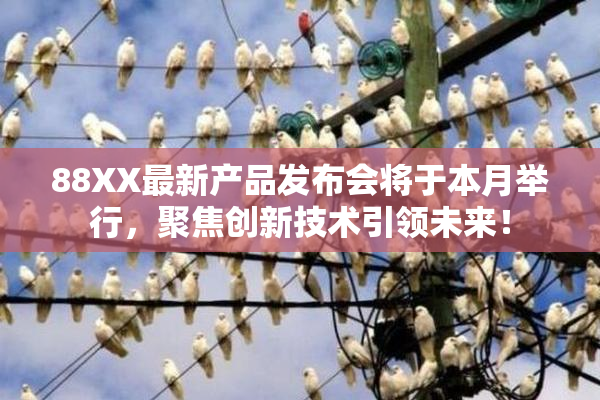88XX最新产品发布会将于本月举行，聚焦创新技术引领未来！