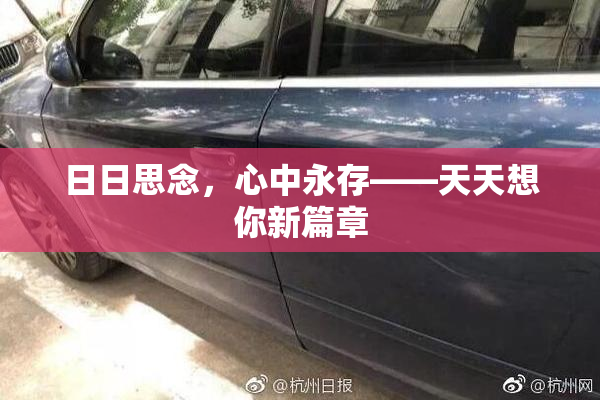 日日思念，心中永存——天天想你新篇章