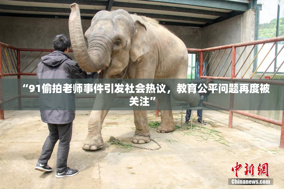“91偷拍老师事件引发社会热议，教育公平问题再度被关注”