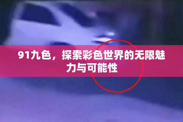 91九色，探索彩色世界的无限魅力与可能性