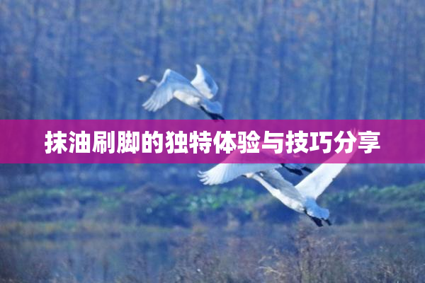 抹油刷脚的独特体验与技巧分享