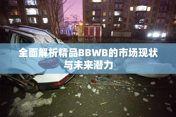 全面解析精品BBWB的市场现状与未来潜力