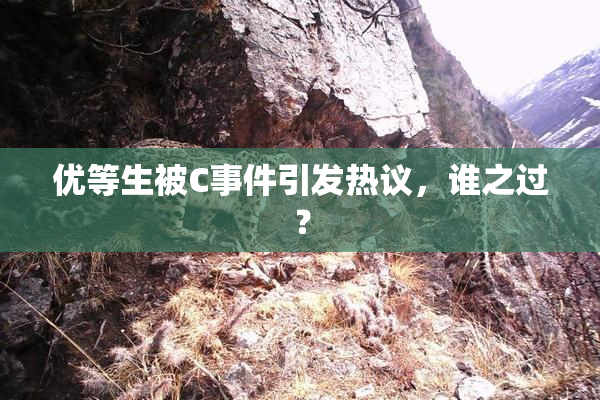 优等生被C事件引发热议，谁之过？