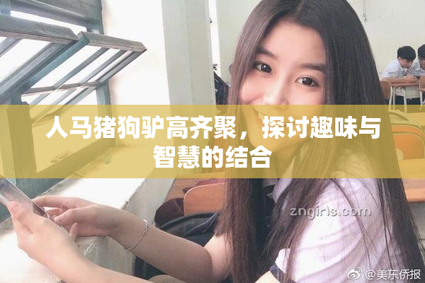 人马猪狗驴高齐聚，探讨趣味与智慧的结合