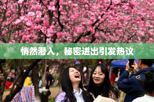 悄然潜入，秘密进出引发热议