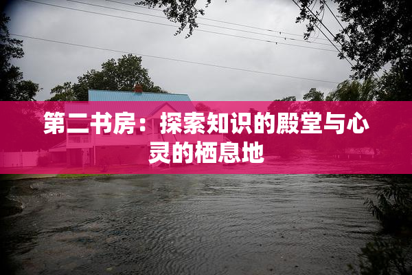 第二书房：探索知识的殿堂与心灵的栖息地