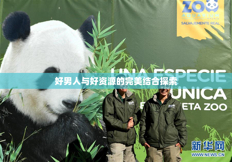 好男人与好资源的完美结合探索