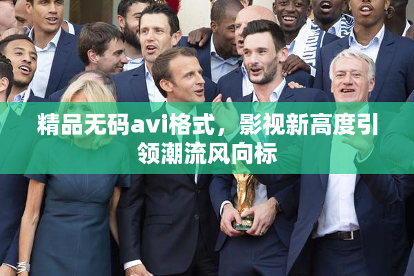 精品无码avi格式，影视新高度引领潮流风向标