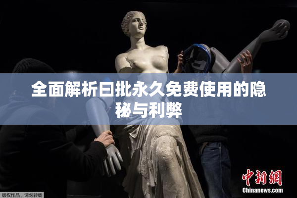 全面解析曰批永久免费使用的隐秘与利弊