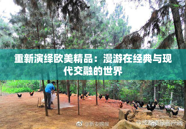 重新演绎欧美精品：漫游在经典与现代交融的世界
