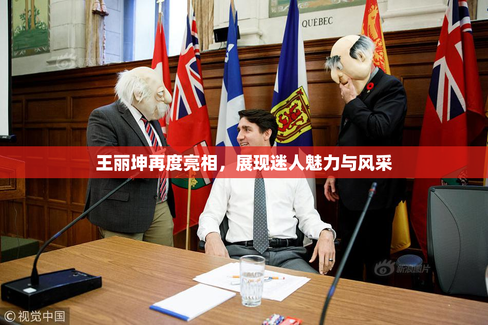 王丽坤再度亮相，展现迷人魅力与风采