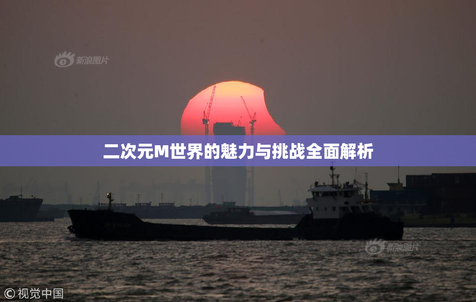 二次元M世界的魅力与挑战全面解析