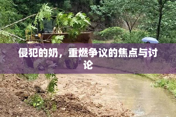 侵犯的奶，重燃争议的焦点与讨论