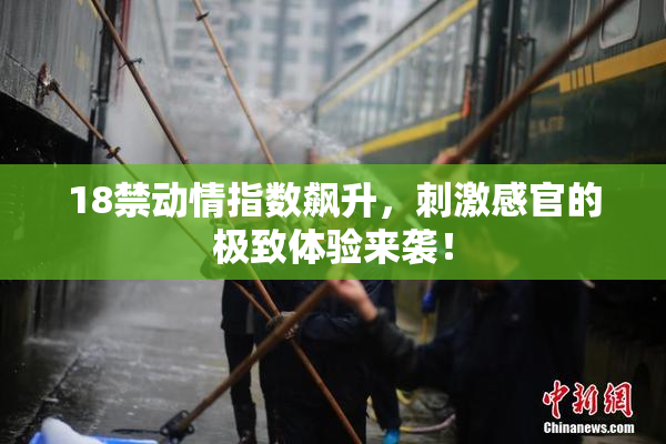 18禁动情指数飙升，刺激感官的极致体验来袭！
