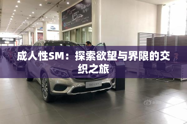 成人性SM：探索欲望与界限的交织之旅