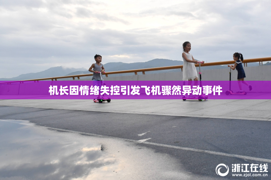 机长因情绪失控引发飞机骤然异动事件