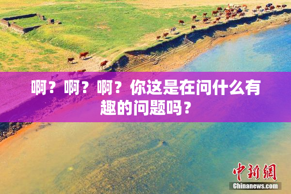啊？啊？啊？你这是在问什么有趣的问题吗？