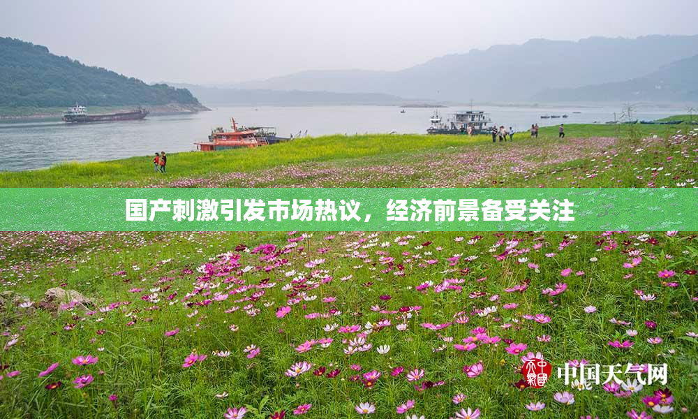 国产刺激引发市场热议，经济前景备受关注