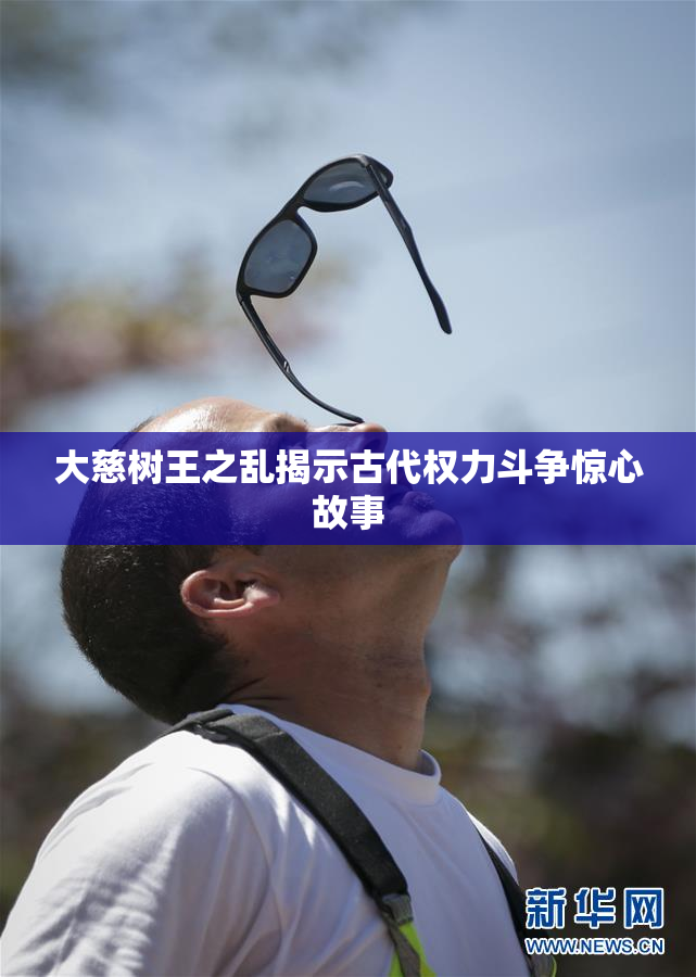 大慈树王之乱揭示古代权力斗争惊心故事