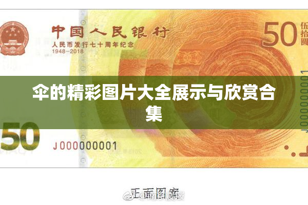 伞的精彩图片大全展示与欣赏合集