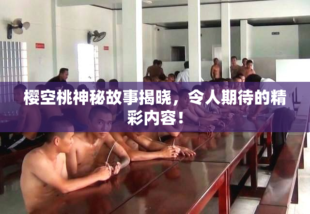 樱空桃神秘故事揭晓，令人期待的精彩内容！