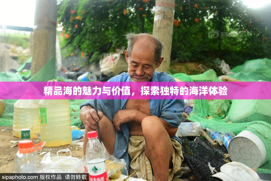 精品海的魅力与价值，探索独特的海洋体验