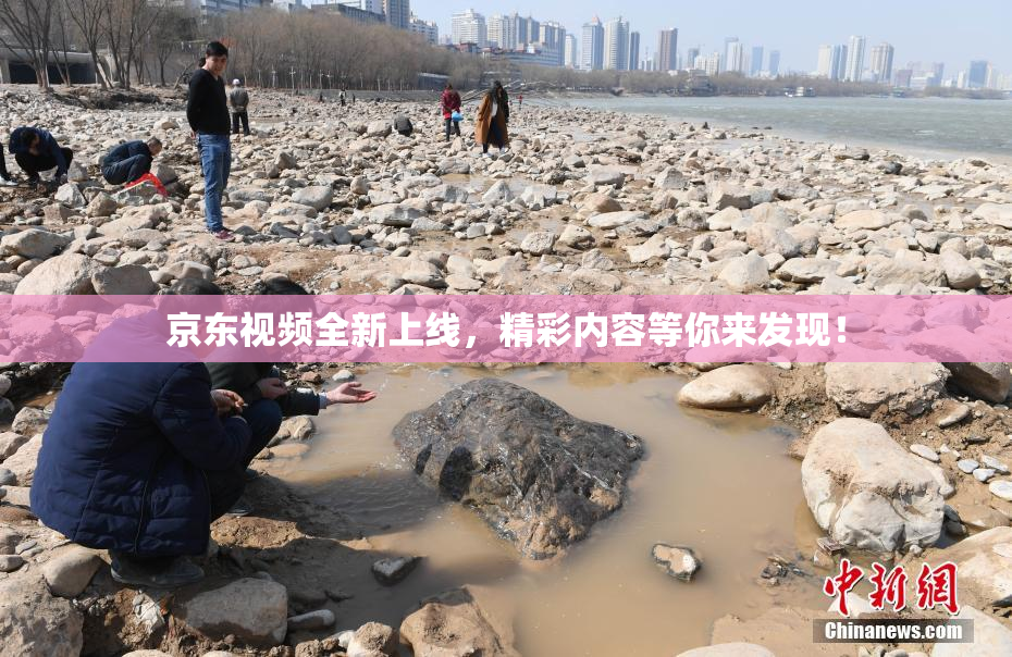 京东视频全新上线，精彩内容等你来发现！