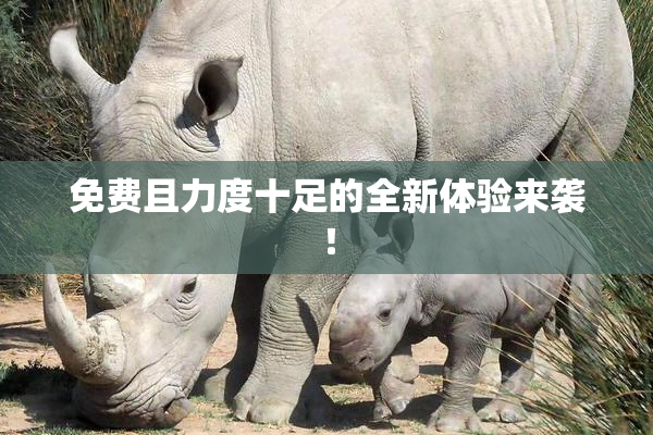 免费且力度十足的全新体验来袭！