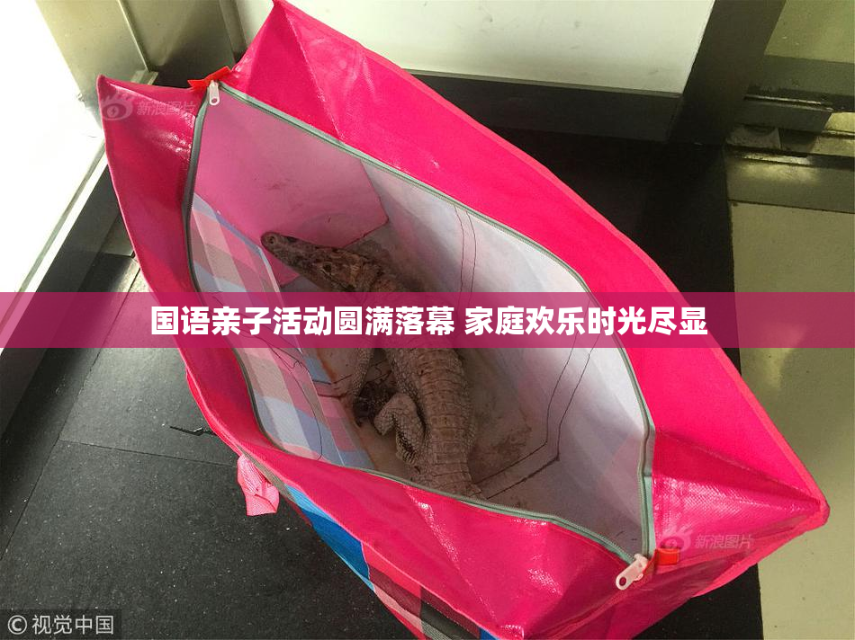 国语亲子活动圆满落幕 家庭欢乐时光尽显