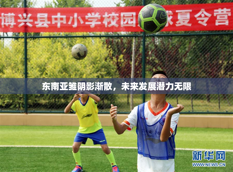 东南亚雏阴影渐散，未来发展潜力无限