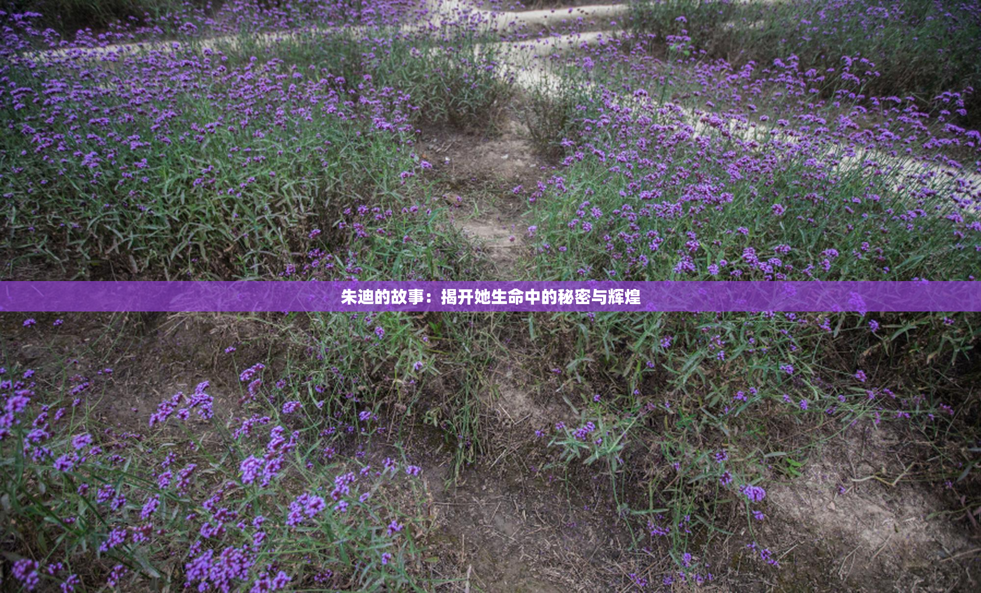 朱迪的故事：揭开她生命中的秘密与辉煌