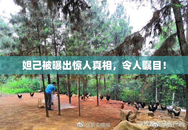 妲己被曝出惊人真相，令人瞩目！