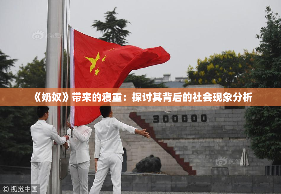 《奶奴》带来的寝重：探讨其背后的社会现象分析