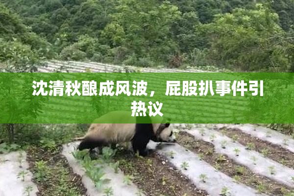 沈清秋酿成风波，屁股扒事件引热议