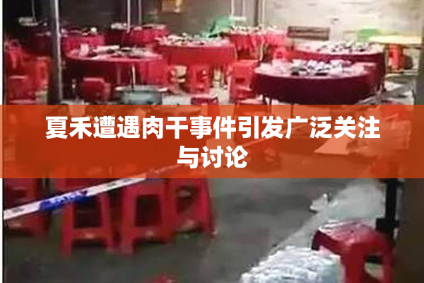 夏禾遭遇肉干事件引发广泛关注与讨论