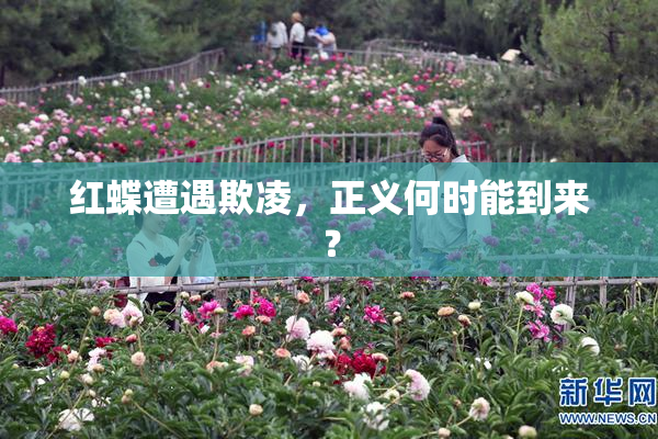 红蝶遭遇欺凌，正义何时能到来？