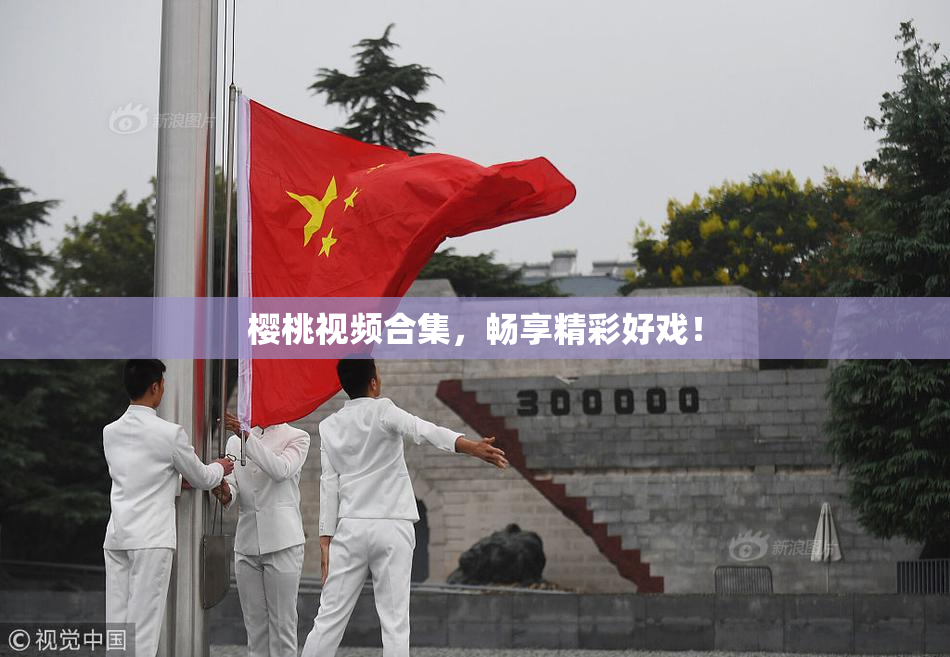 樱桃视频合集，畅享精彩好戏！
