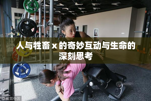 人与牲畜ⅹ的奇妙互动与生命的深刻思考