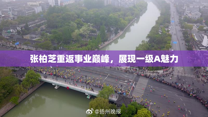 张柏芝重返事业巅峰，展现一级A魅力