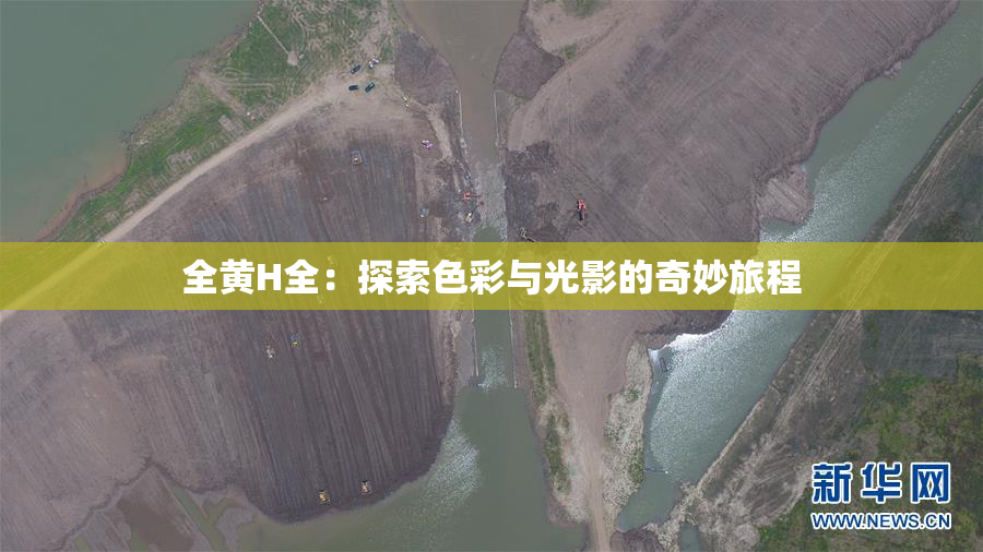 全黄H全：探索色彩与光影的奇妙旅程