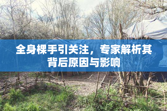 全身棵手引关注，专家解析其背后原因与影响