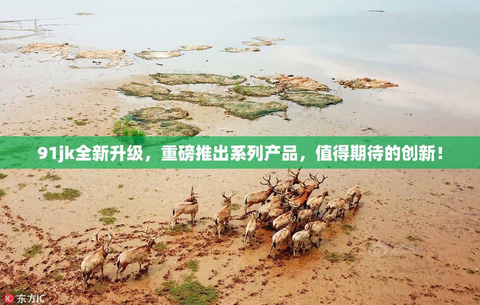 91jk全新升级，重磅推出系列产品，值得期待的创新！